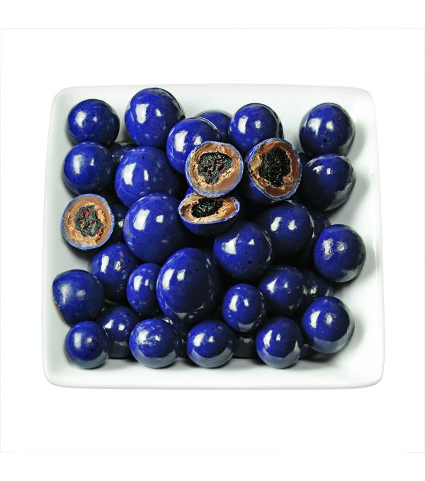 Chocolate Dipped Dried Blueberries - 10 oz. Bag 